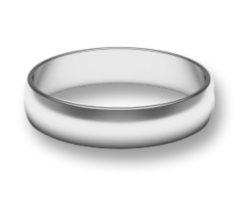 Stainless Steel Order of Engineering member ring