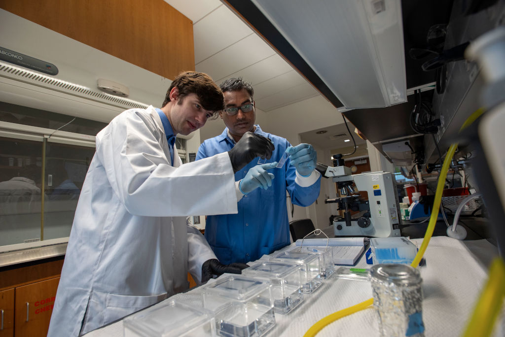 students in a lab